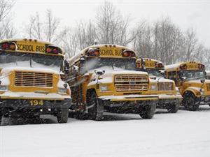 Snow on Busses 